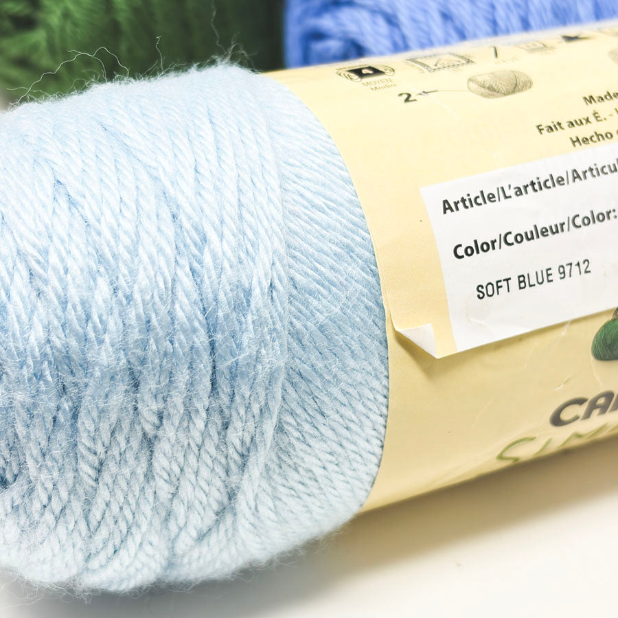 Green/Blue Caron Simply Soft Yarn - Pick a Color