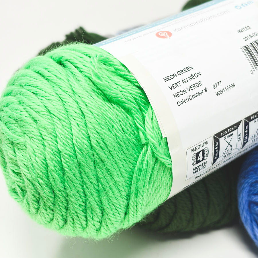 Green/Blue Caron Simply Soft Yarn - Pick a Color