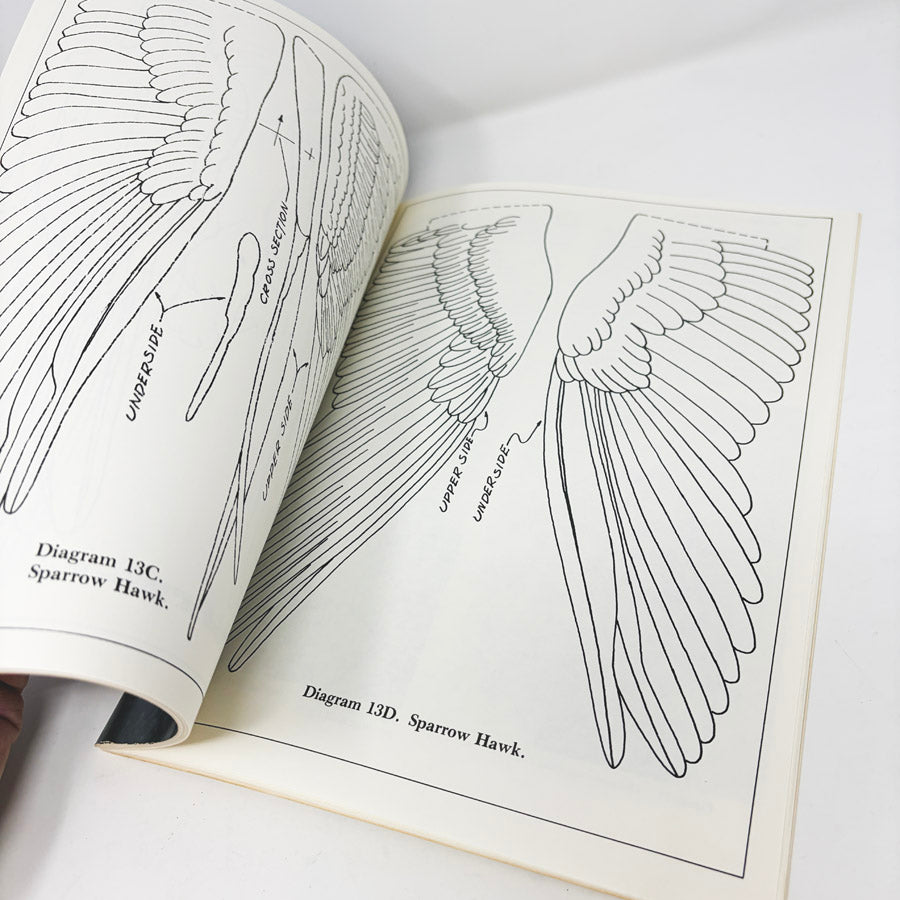 Patterns and Instructions for Carving Authentic Birds Book by H.D. Green