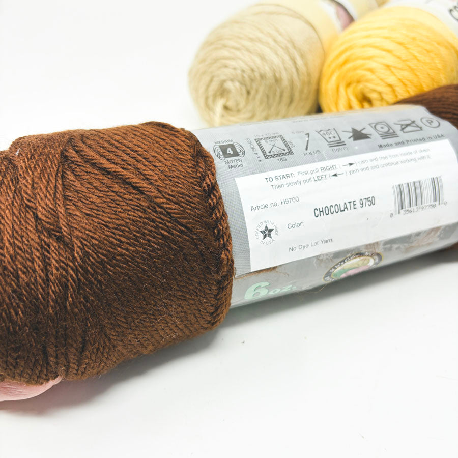 Caron Simply Soft Yarn - Pick a Color