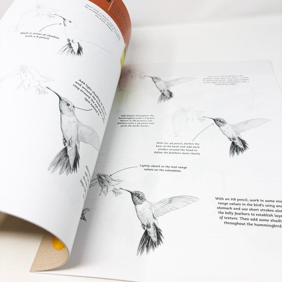 Walter Foster Drawing Birds Booklet