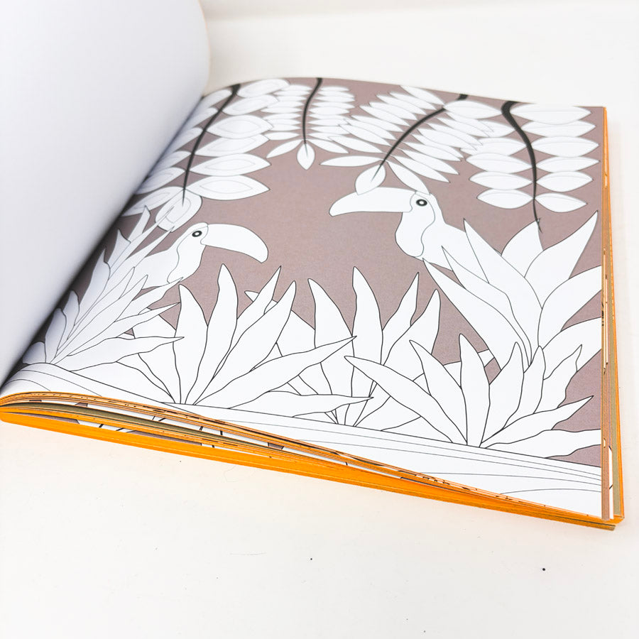Magic Garden Coloring Book