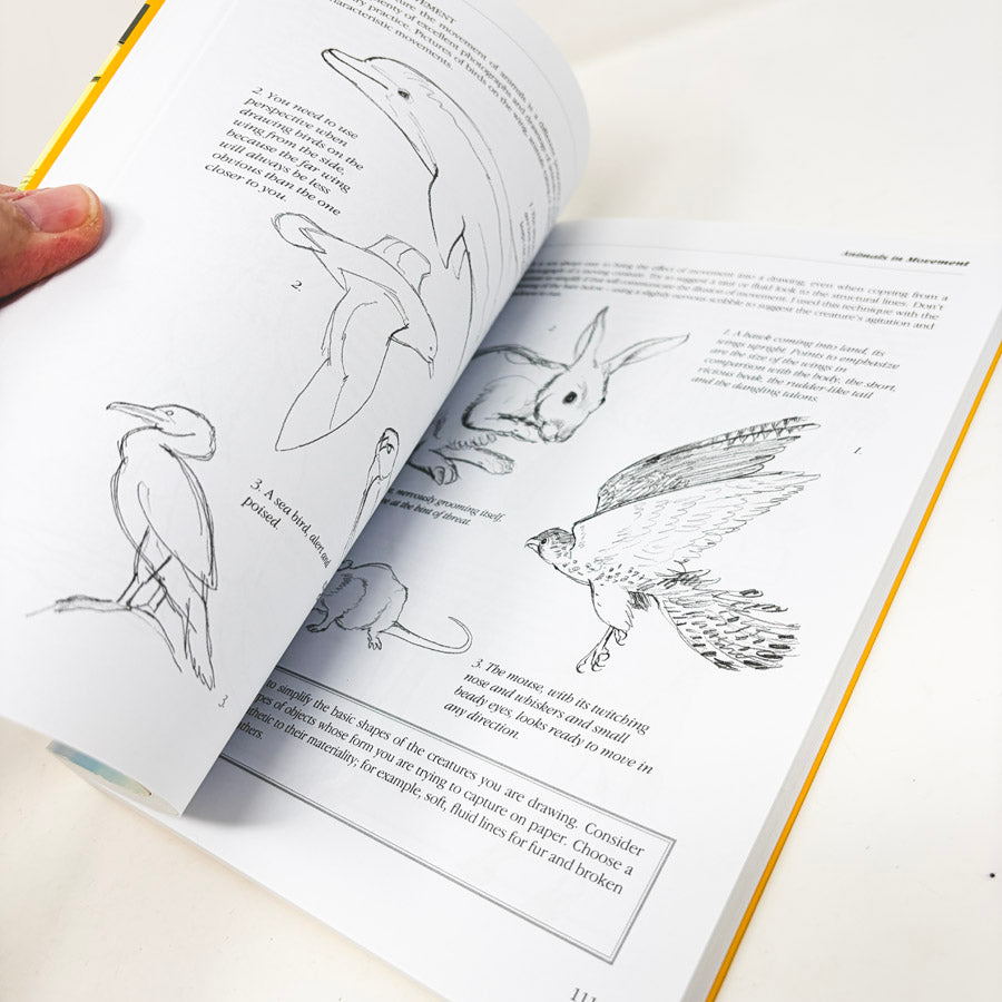 The Fundamentals of Drawing Book by Barrington Barber