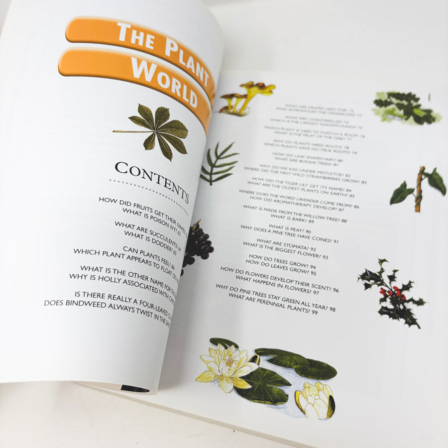 Tell Me About The World from Waterbird Books