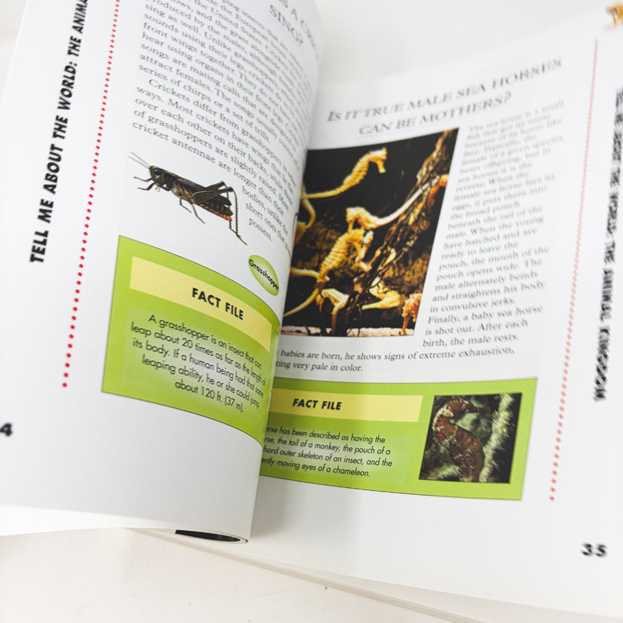 Tell Me About The World from Waterbird Books