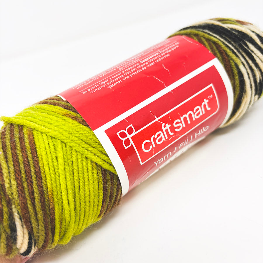 Craft Smart Yarn - #18 Hunter