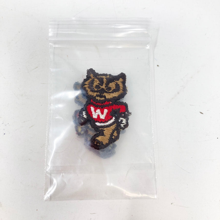 Bucky Badger Patches