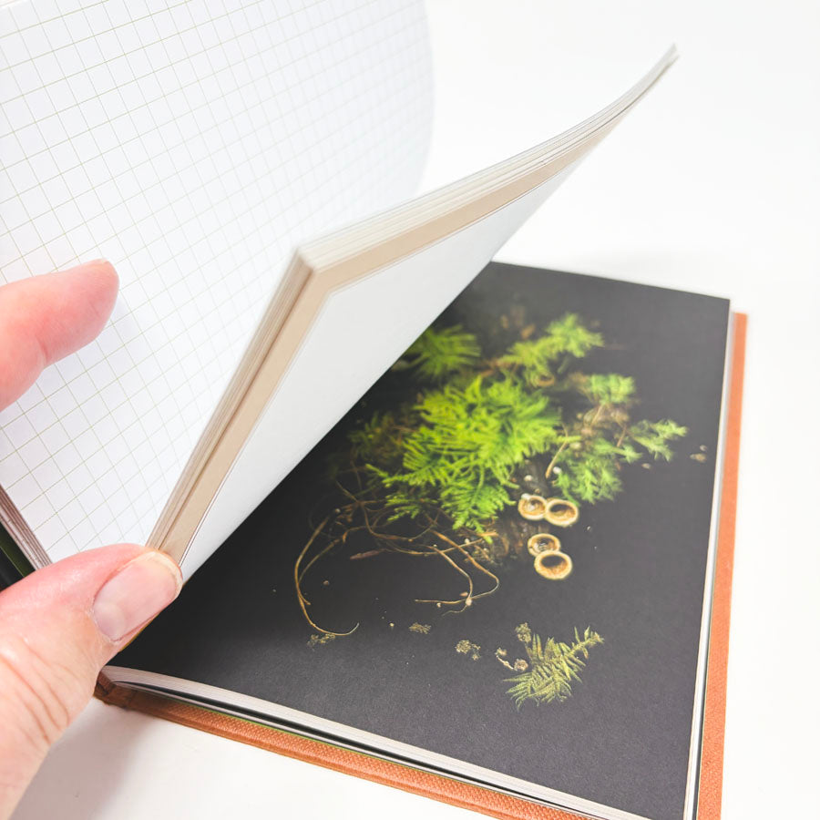 Deep Dark Forest Mushroom Journal