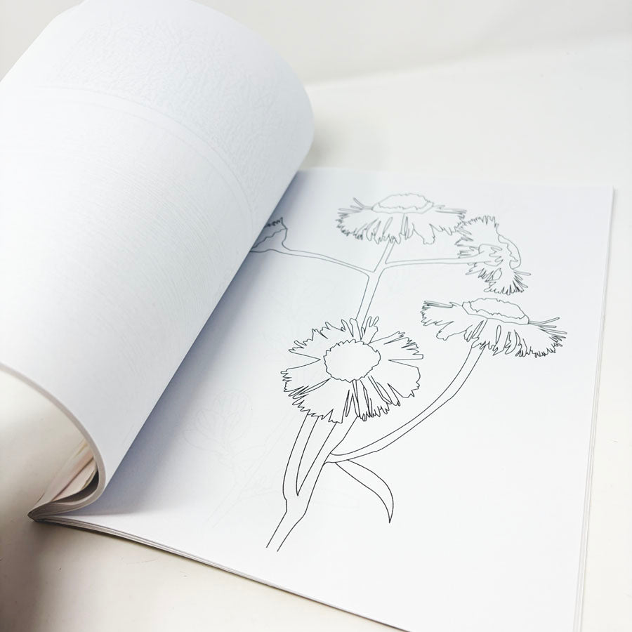 Zinn Preserve Coloring Book