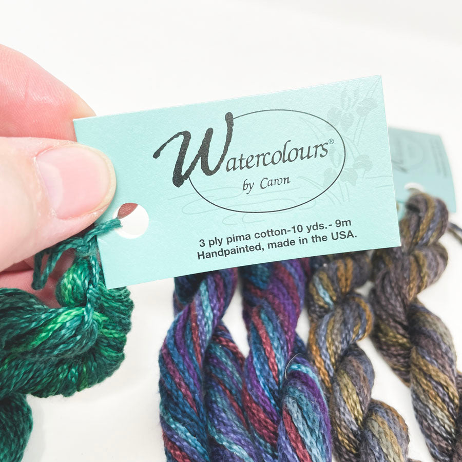 Watercolours by Caron Thread Skein (1)