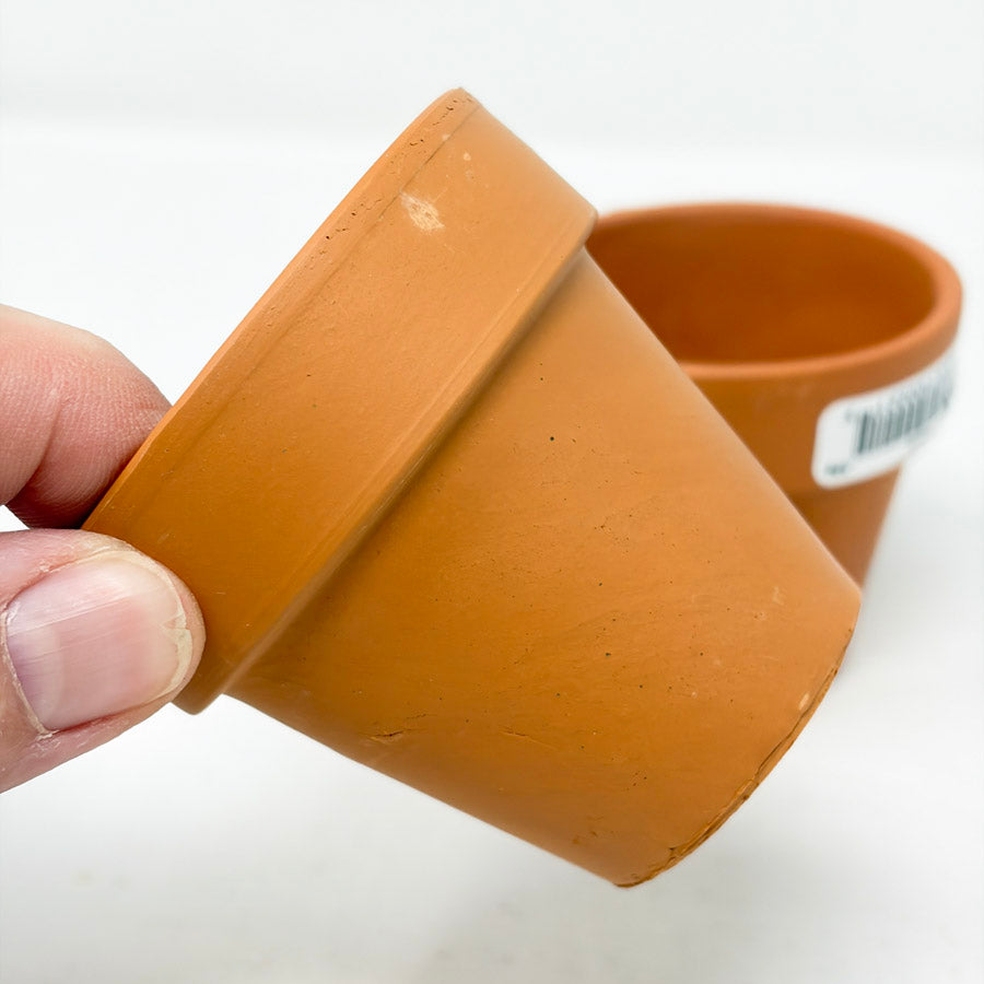 Little Terra Cotta Pots (2)