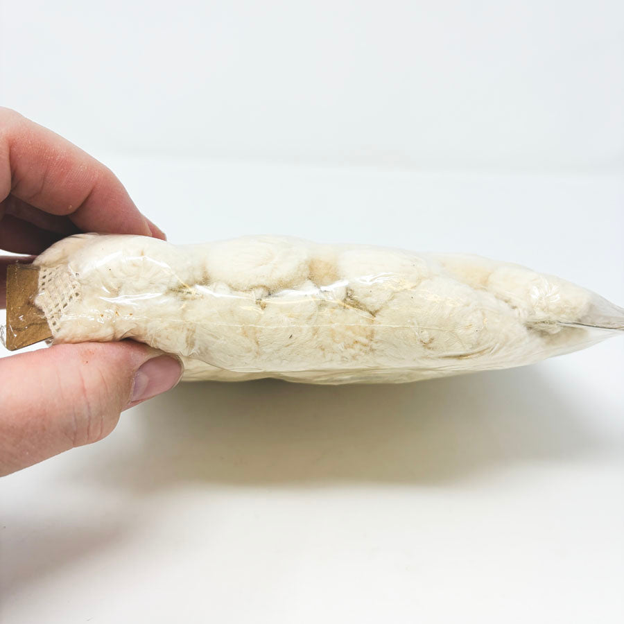 Ivory Pom Pom Fringe Card