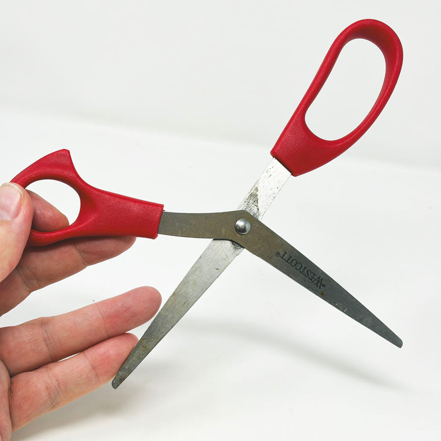 Wescott Scissors