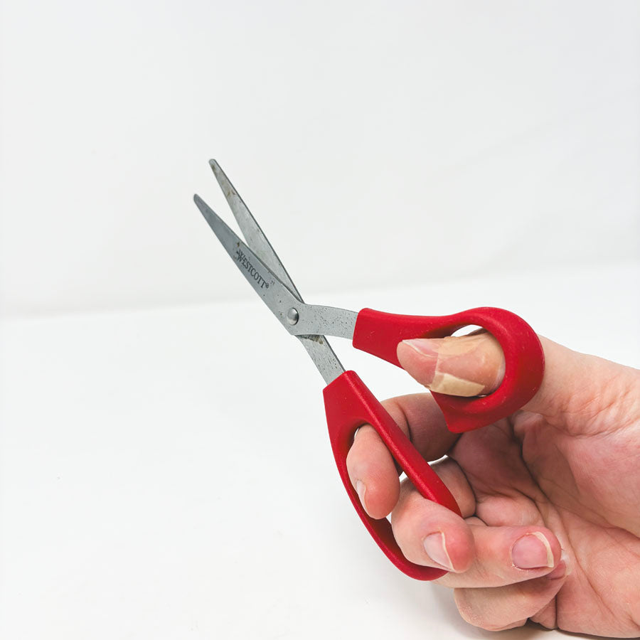 Wescott Scissors
