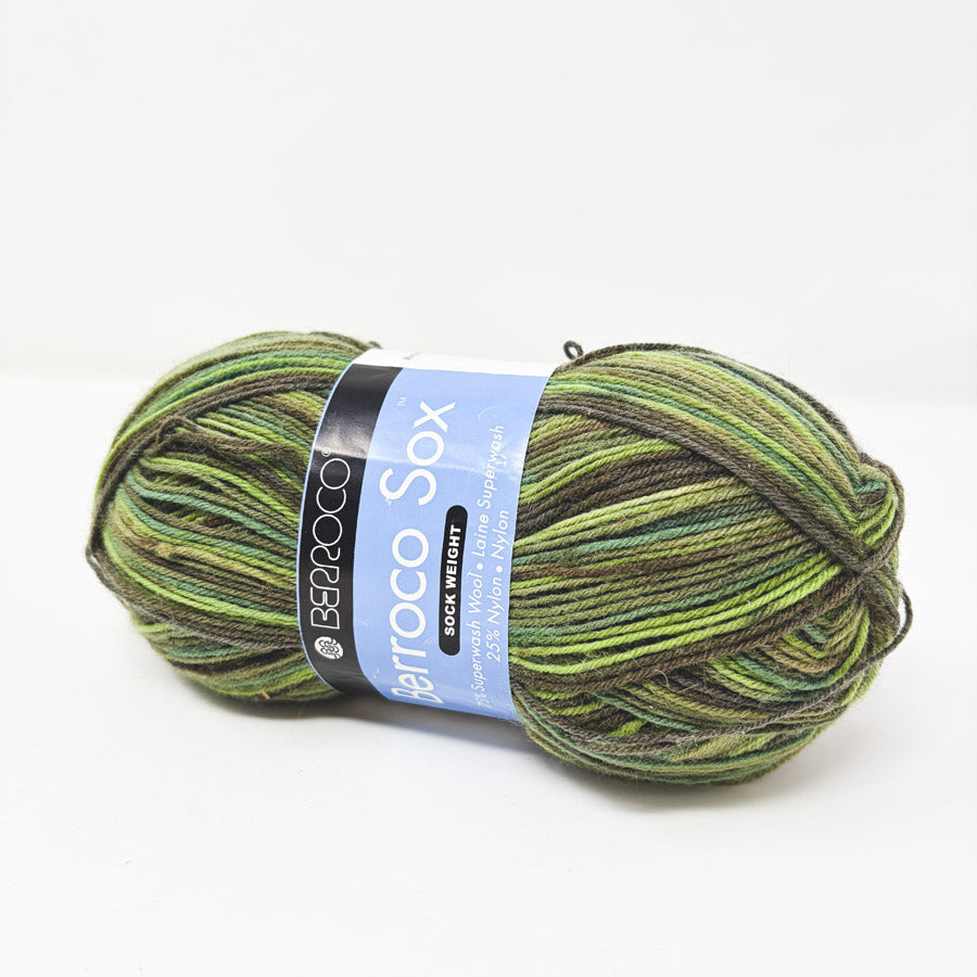 Berroco Sox Yarn – Color 1451