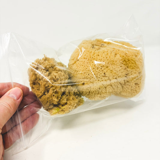 Natural Sea Sponges