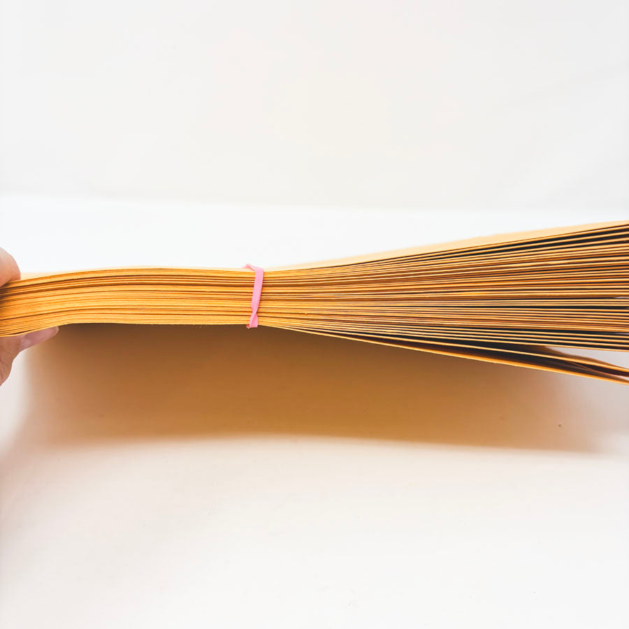 Small Stack of 9" x 12" Manilla Clasp Envelopes