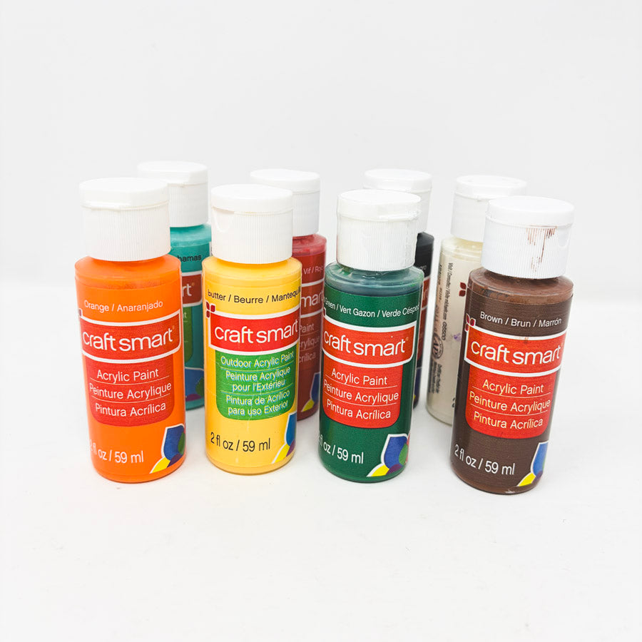 Craft Smart 2oz Acrylic Paint Bundle- 8 bottles