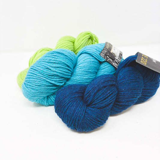 Cascade Yarns – Cascade 200