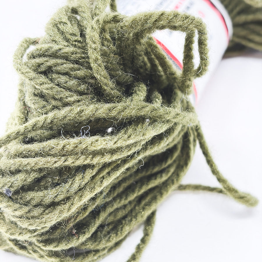 Aunt Lydia's Rug Yarn - Moss