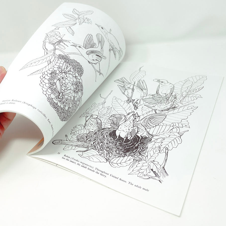 Audubon's Birds of America Coloring Book