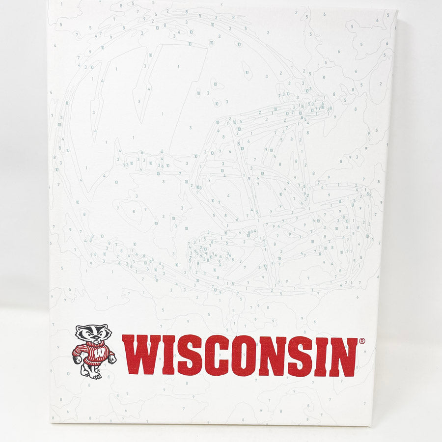 Team Pride – Badger's Paint By Number Kit