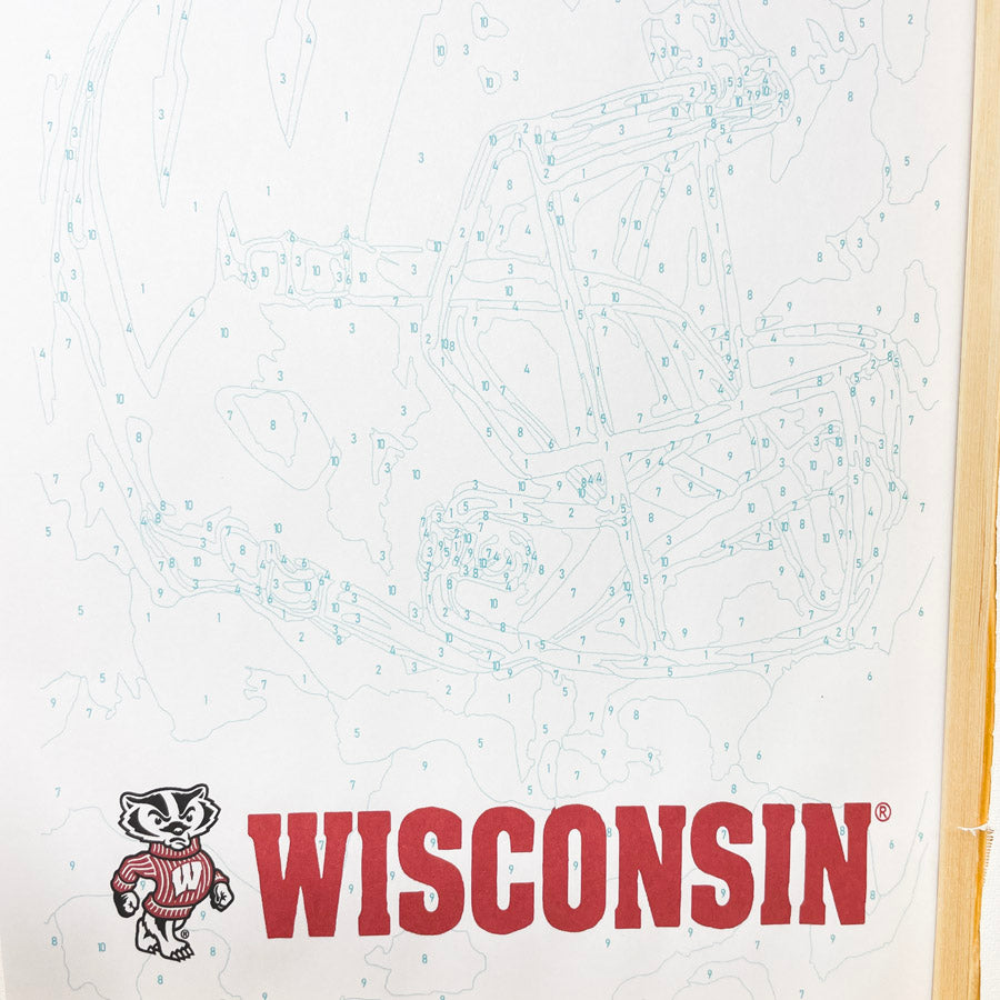 Team Pride – Badger's Paint By Number Kit