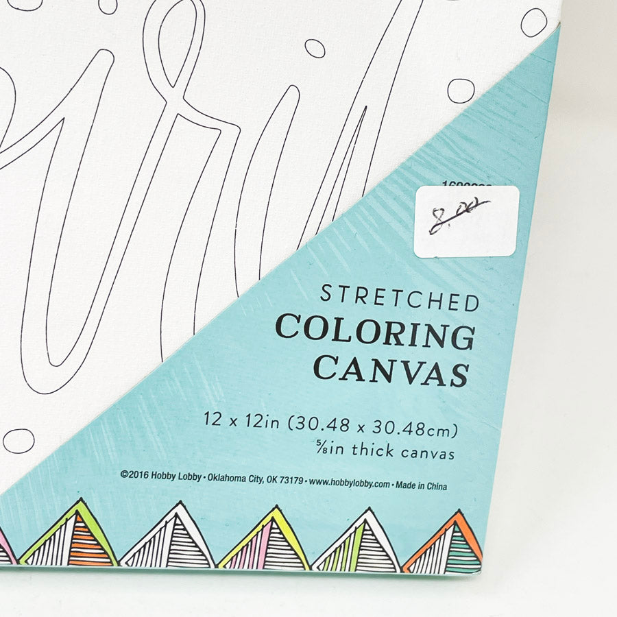 Wild Spirit Stretched Coloring Canvas 12"x12"