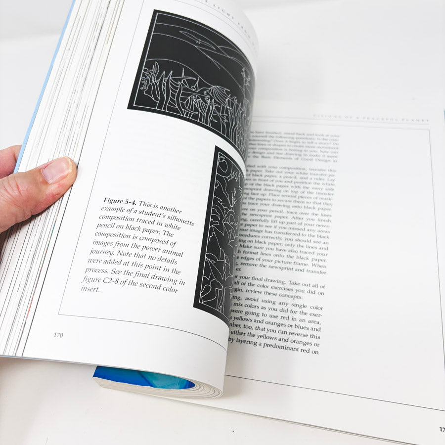 Drawing the Light from Within Book by Judith Cornell