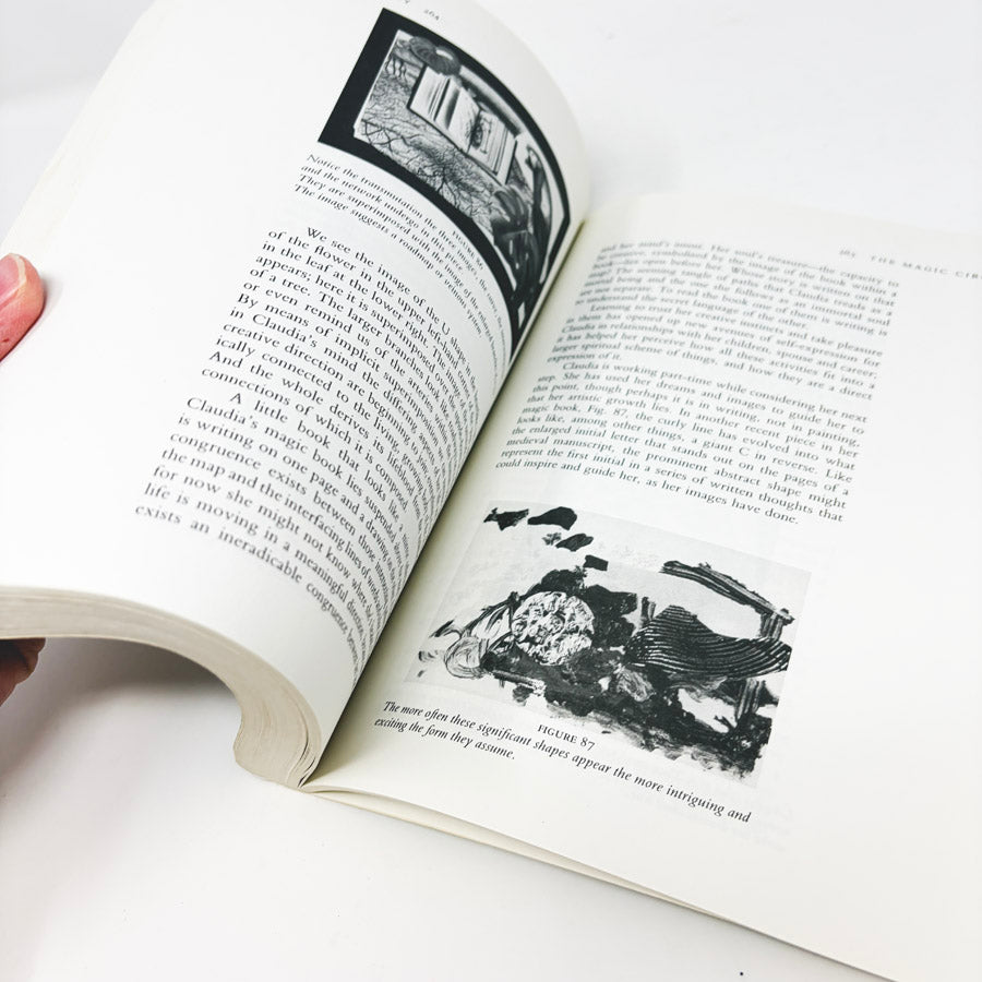Source Imagery Book by Sandra G. Schuman