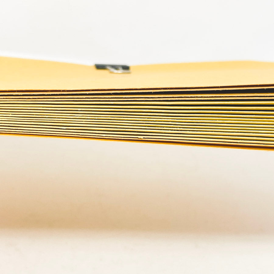 Manilla Envelope Bundles (1)