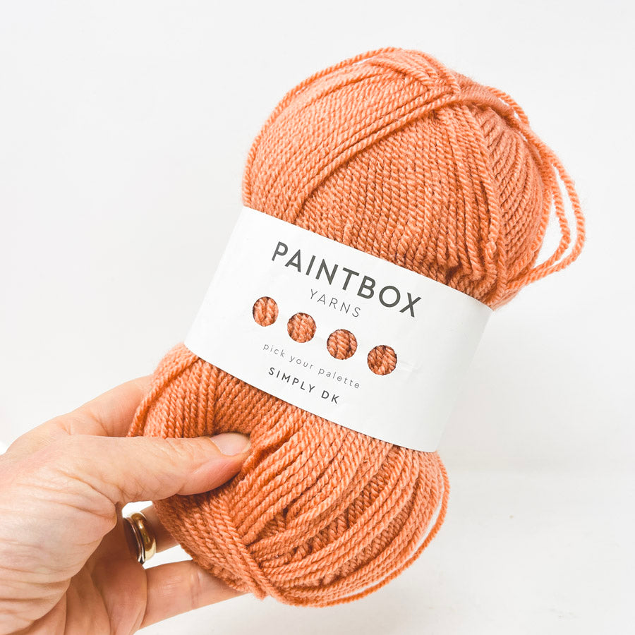 Paintbox Yarns Simply DK Peach 155 (4)