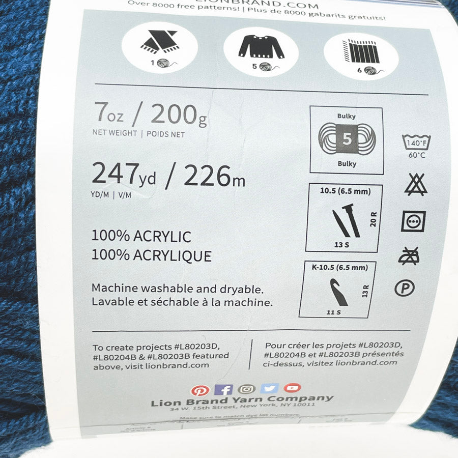 Lion Brand Color Made Easy Yarn (1)