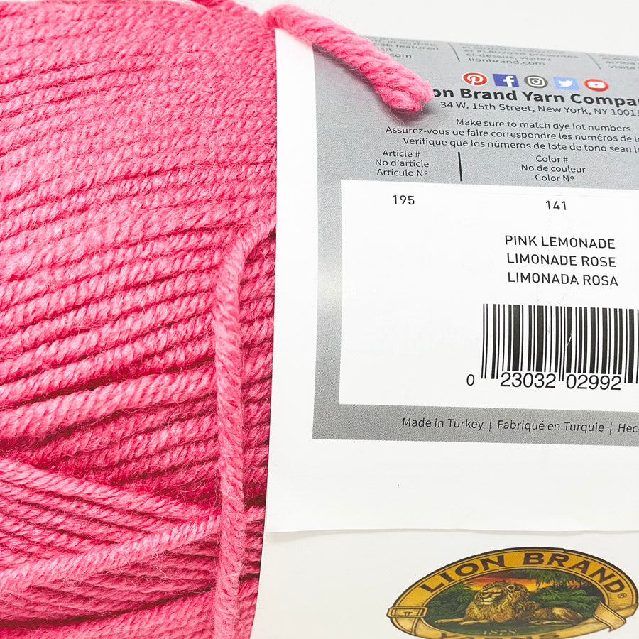 Lion Brand Color Made Easy Yarn (1)