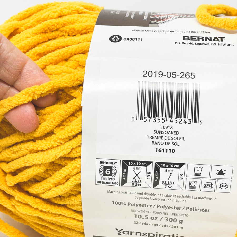 Bernat Blanket Bulky Chenille Yarn (1)