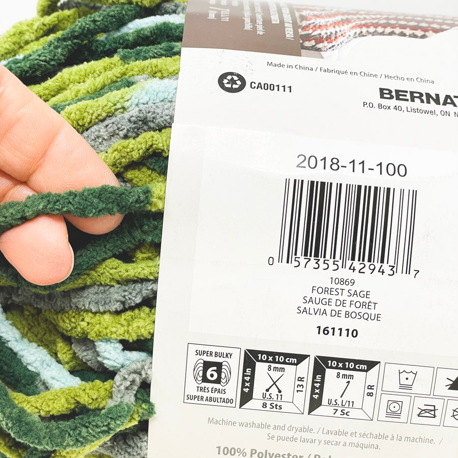 Bernat Blanket Bulky Chenille Yarn (1)