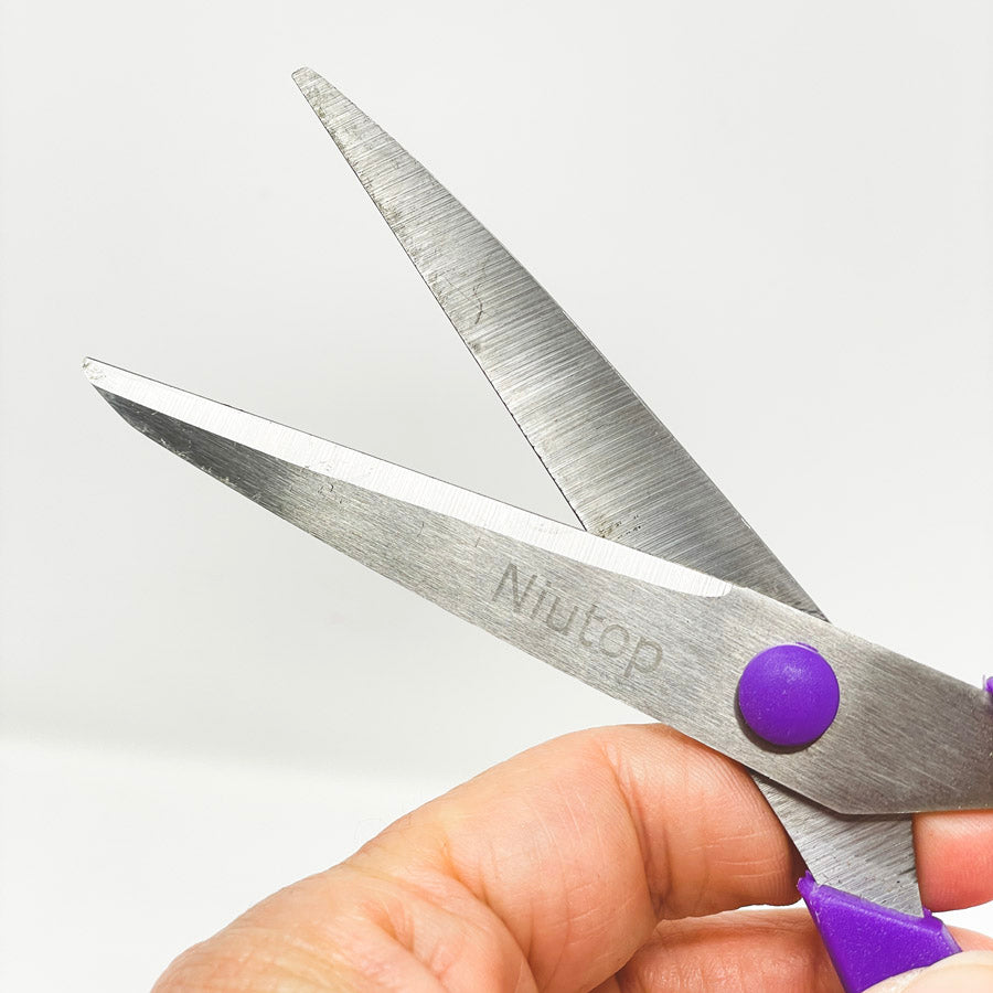 All Purpose Scissors (1)