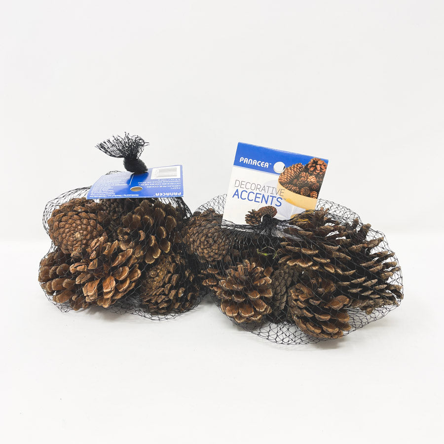 Small Bag of Pinecones (1)