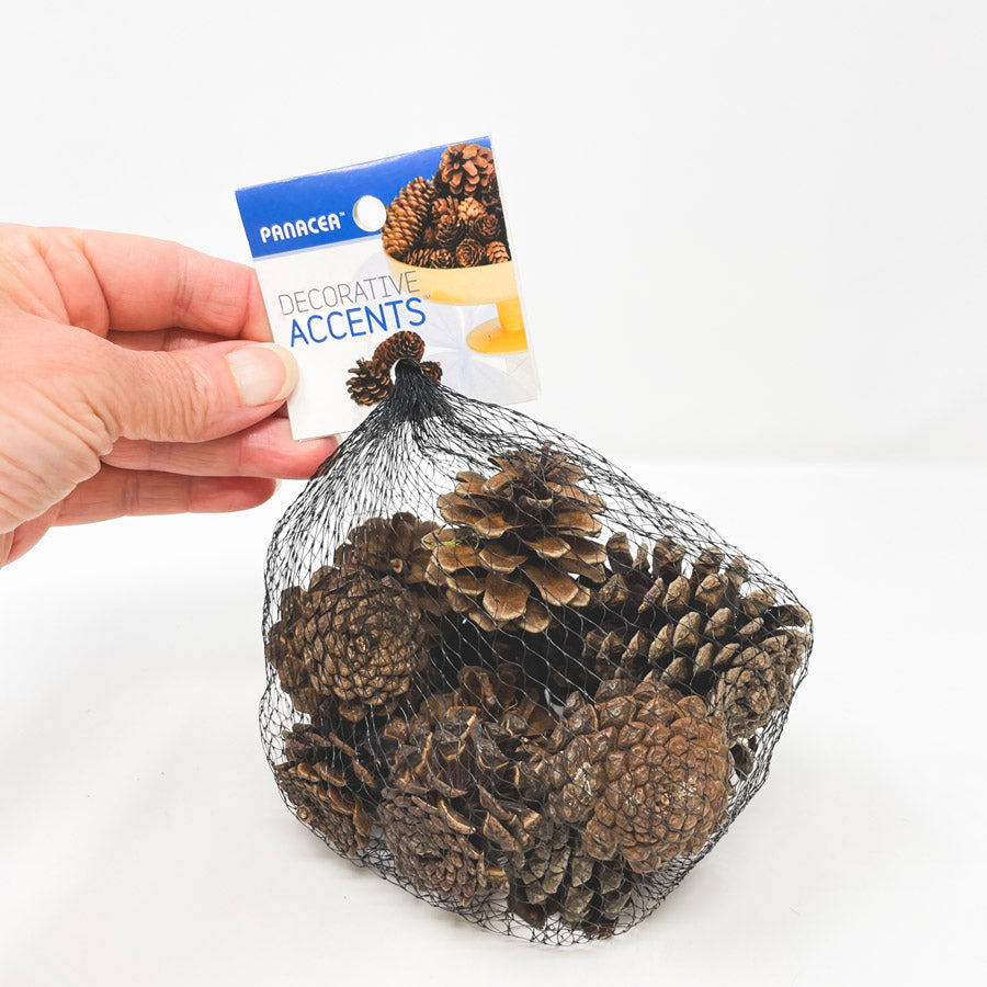 Small Bag of Pinecones (1)