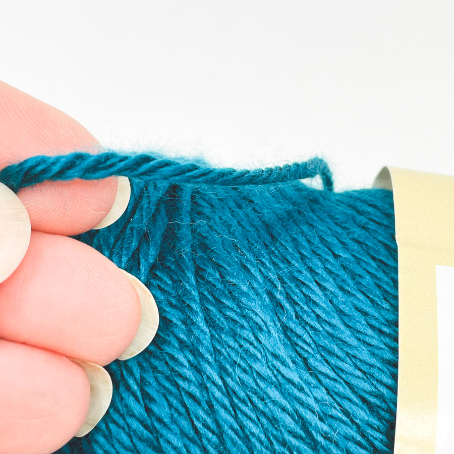Caron Simply Soft Acrylic Yarn - Pagoda