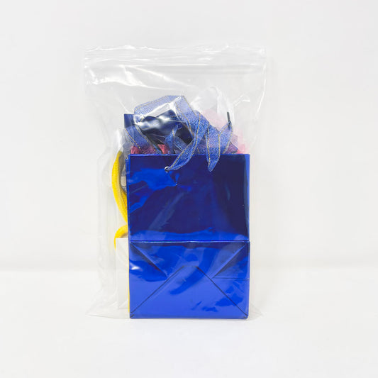 Bundle of Small Shiny Handle Gift Bags