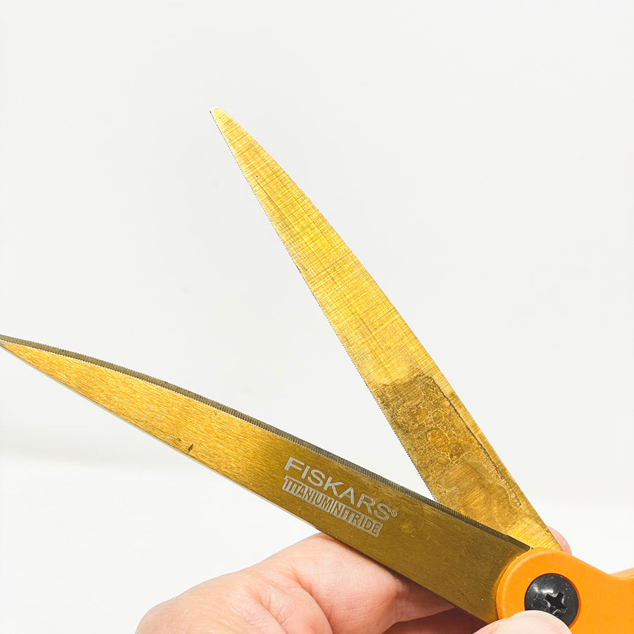 Scissors (1)