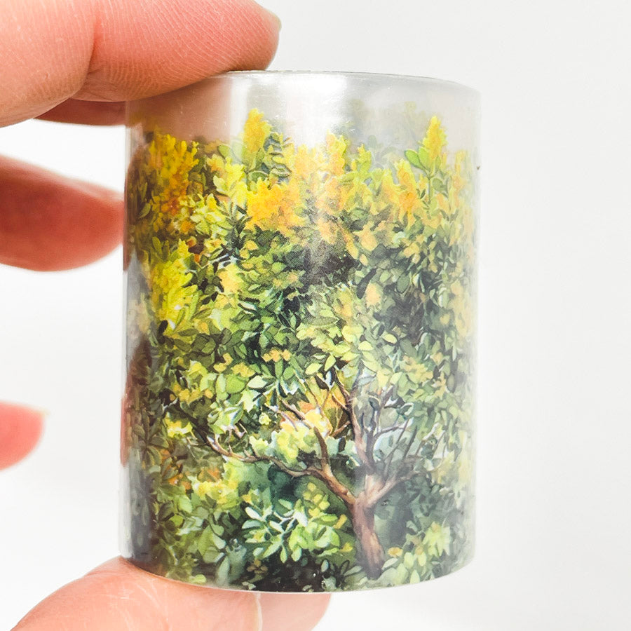 Wildflower Scenery Transparent Washi Tape (1)