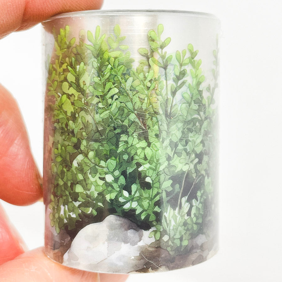 Wildflower Scenery Transparent Washi Tape (1)