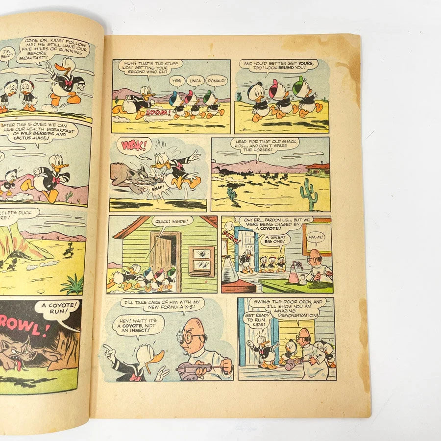 Walt Disney's Donald Duck Comic Book #29 - Dell Comics - 1953