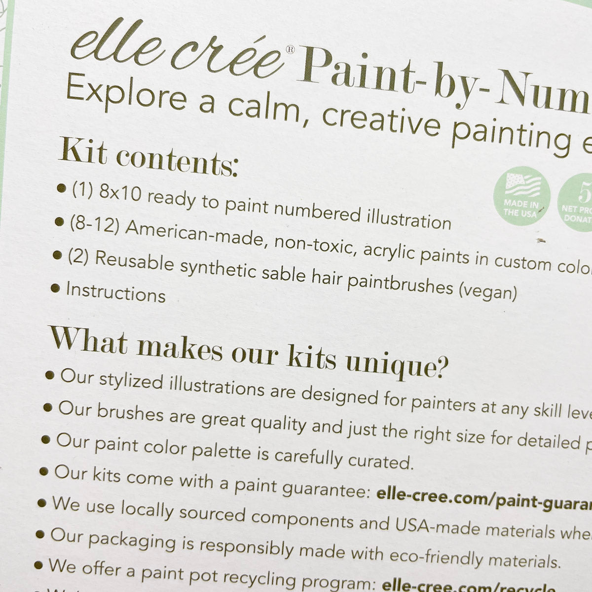 NEW // Bonnie Bunny Paint-by-Number Kit